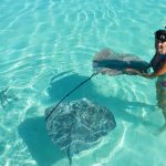 1662531582_4-krasivosti-pro-p-vidi-skatov-na-maldivakh-pinterest-5